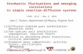 Stochastic fluctuations and emerging correlations in simple reaction-diffusion systems IPAM, UCLA – May 4, 2010 Uwe C. Täuber, Department of Physics, Virginia.