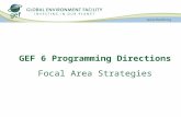 GEF 6 Programming Directions Focal Area Strategies.