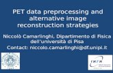 PET data preprocessing and alternative image reconstruction strategies.