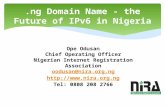 .ng Domain Name - the Future of IPv6 in Nigeria Ope Odusan Chief Operating Officer Nigerian Internet Registration Association oodusan@nira.org.ng .