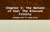 Chapter 3: The Nature of God: The Blessed Trinity INTRODUCTION TO CATHOLICISM.