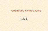 Lab 2 Chemistry Comes Alive. Matter The “stuff” of the universe Anything that has mass and takes up space States of matter –Solid – has definite shape.