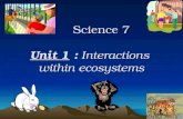 Science 7 Unit 1 : Interactions within ecosystems Science 7 Unit 1 : Interactions within ecosystems.