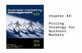 PowerPoint by: Ray A. DeCormier, Ph.D. Central Ct. State U. Chapter 14: Pricing Strategy for Business Markets.