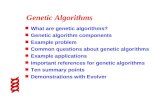 Genetic Algorithms n What are genetic algorithms? n Genetic algorithm components n Example problem n Common questions about genetic algorithms n Example.
