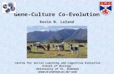 Gene-Culture Co-Evolution Kevin N. Laland Centre for Social Learning and Cognitive Evolution School of Biology University of St. Andrews seal.