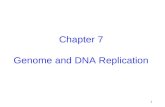 1 Chapter 7 Genome and DNA Replication. 2 Introduction A genome is all the genetic information that defines an organism. Microbial genomes consist of.