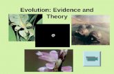 Evolution: Evidence and Theory Evolution. Where are fossils found? Sedimentary Rock made of sand, dust, mud= Sandstone, Limestone and Shale.