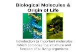 Biological Molecules & Origin of Life Introduction to important molecules which comprise the structure and function of all living organisms.