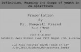 Definition, Meaning and Scope of youth in co-operatives Presentation By Dr. Bhagwati Prasad Ex-C E/NCUI & Vice-Chairman Sahakari Awas Nirman Evam Vitt.