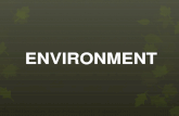 ENVIRONMENT Define environment … ENVIRONMENT Environment - the social and cultural forces that shape the life of a person or a population.