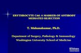 ERYTHROCYTE C4d: A MARKER OF ANTIBODY MEDIATED REJECTION T. Mohanakumar, Ph.D. Department of Surgery, Pathology & Immunology Washington University School.