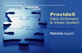 ProvideX Data Dictionary & Views System Presented by: Patrizio Lucci.