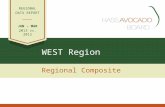 WEST Region Regional Composite REGIONAL DATA REPORT JAN – MAR 2013 vs. 2012.