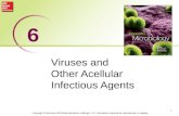 Viruses and Other Acellular Infectious Agents 1 6 Copyright © McGraw-Hill Global Education Holdings, LLC. Permission required for reproduction or display.