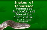 Snakes of Tennessee Tennessee Agricultural Education Curriculum Chuck Flowers Liberty FFA 2011.