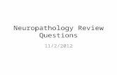 Neuropathology Review Questions 11/2/2012. Match the metal with the toxicity or description Arsenic Lead Mercury Manganese 1.Mees’ transverse white lines.