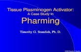 ©1998 Timothy G. Standish Tissue Plasminogen Activator: A Case Study In Pharming Timothy G. Standish, Ph. D.