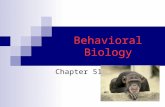 Behavioral Biology Chapter 51. Behavioral Biology Part I  What is behavior?  Innate Behavior FAP/ Sign stimulus  Learned Behavior Habituation Imprinting.