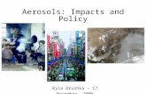 Aerosols: Impacts and Policy Kyla Drushka - 17 November, 2006.