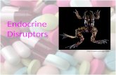 Http:// EndocrineDisruptors. Endocrine System A system of glands which secrete hormones into the bloodstream to regulate the body. Hormones.