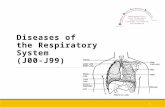 Diseases of the Respiratory System (J00-J99) 1.  New terminology for asthma  Respiratory condition in more than 1 site (not specifically indexed) classified.