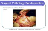 Surgical Pathology Fundamentals Adapted from “Pathology” by Kansas State University Concorde Career College, Portland ST120.