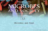 Microbes and Food 12. Beginning Our Meal A glass of wine –Grape juice that is fermented by yeast –Red wine Black grapes Includes skins and stems –White.