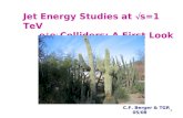 1 Jet Energy Studies at  s=1 TeV e + e - Colliders: A First Look C.F. Berger & TGR 05/08.