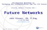 Chişinău, Moldova, 7 October 2011 Future Networks John Visser, CD, P.Eng. +1 613 276 6096 jvisser@rogers.com ITU Regional Workshop on “Bridging the Standardization.