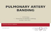 T: 051 401 9111 info@ufs.ac.za  PULMONARY ARTERY BANDING Dr DG Buys Department of paediatric cardiology Sunday 5 June 2011.