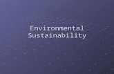 Environmental Sustainability. What is Environmental Sustainability? What is Environmental Sustainability? There is no simple definition of ‘sustainability’.