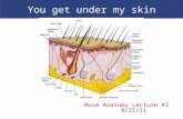 You get under my skin Muse Anatomy Lecture #3 9/21/11.