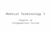 Medical Terminology I Chapter 16 Integumentary System.