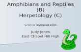Amphibians and Reptiles (B) Herpetology (C) Science Olympiad 2008 Judy Jones East Chapel Hill High.