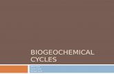BIOGEOCHEMICAL CYCLES Water Cycle Carbon Cycle Nitrogen Cycle.