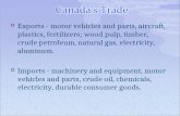 Exports - motor vehicles and parts, aircraft, plastics, fertilizers; wood pulp, timber, crude petroleum, natural gas, electricity, aluminum.  Imports.