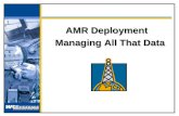 AMR Deployment Managing All That Data The Typical Process Buy Meter Test Meter Ship Meter Issue Install Setup Account Start Billing Remov e Meter.