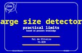 CERN Rui de OliveiraTS-DEM Rui de Oliveira TS-DEM Large size detectors practical limits based on present knowledge.