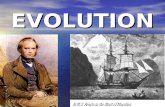 EVOLUTION. DARWIN’S THEORY OF EVOLUTION Chapter 15 Mr. V. M. Galdo Science Department BOOKER T. WASHINGTON S.H.S.