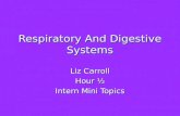 Respiratory And Digestive Systems Liz Carroll Hour ½ Intern Mini Topics.