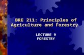 BRE 211: Principles of Agriculture and Forestry LECTURE 9 FORESTRY.
