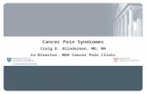 Cancer Pain Syndromes Craig D. Blinderman, MD, MA Co-Director, MGH Cancer Pain Clinic MGH Palliative Care Service.