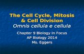 The Cell Cycle, Mitosis & Cell Division Omnis cellula e cellula Chapter 9 Biology In Focus AP Biology 2014 Ms. Eggers.