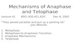 Mechanisms of Anaphase and Telophase Lecture 41BSCI 420,421,620Dec 9, 2002 “They paved paradise and put up a parking lot” - Joni Mitchell 1.Metaphase 2.Metaphase-to-Anaphase.