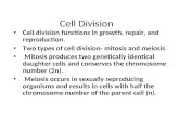Cell Division Cell division functions in growth, repair, and reproduction. Two types of cell division- mitosis and meiosis. Mitosis produces two genetically.