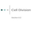 Cell Division Section 8.2. All cells are derived from the division of pre-existing cells Cell division is the process by which cells produce offspring.
