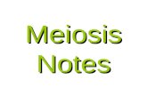 Meiosis Notes. Foldable You need 6 pieces of printer paper Stagger the pages about 1cm (width of pinky finger) DO NOT make the tabs too large!!!!! Fold.