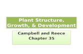 Plant Structure, Growth, & Development Campbell and Reece Chapter 35 Campbell and Reece Chapter 35.