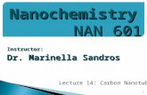 Instructor: Dr. Marinella Sandros 1 Nanochemistry NAN 601 Lecture 14: Carbon Nanotubes.